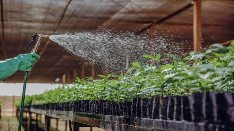 Descubra com Aldo Vendramin os números que confirmam o papel do Brasil como potência agrícola mundial.